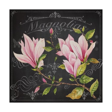 Jean Plout 'Magnolias 1' Canvas Art,35x35